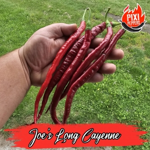 Joe'S Long Cayenne