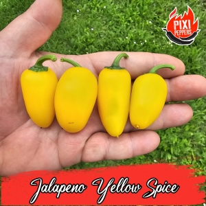Jalapeno Yellow Spice