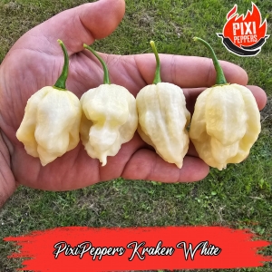 PixiPeppers Kraken White