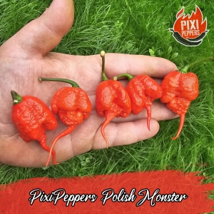 PixiPeppers Polish Monster