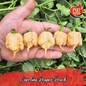 Carolina Reaper Peach