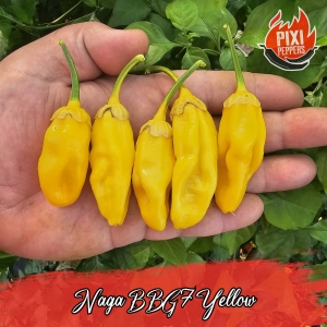 Naga BBG7 Yellow