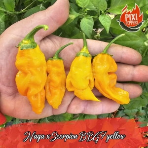 Naga x Scorpion BBG7 Yellow