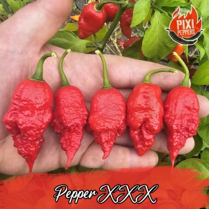 Pepper XXX