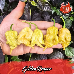 Golden Reaper