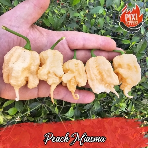 Peach Miasma