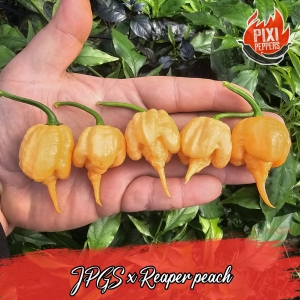 JPGS x Reaper Peach