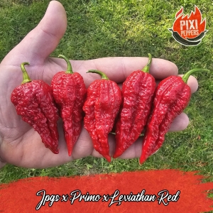 JPGS x Primo x Leviathan Red