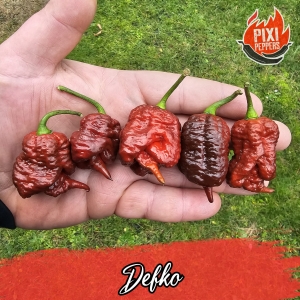 Defko