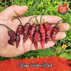 Naga Twister Black