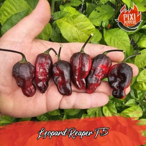Leopard Reaper