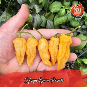 Naga Boom Peach
