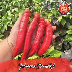 Jalapeno Chernobyl