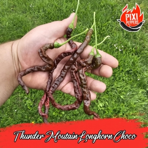 Thunder Mountain Longhorn Chocolate