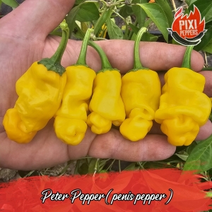 Peter Pepper (penis pepper)