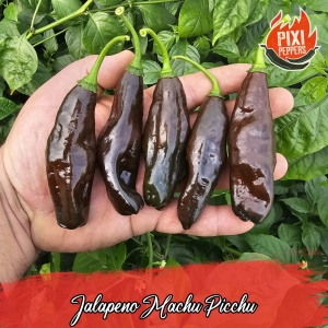 Jalapeno Machu Picchu