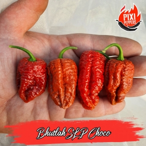 Bhutlah SLP Choco