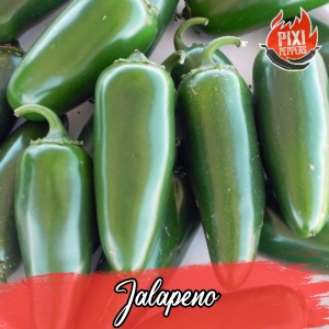 Jalapeno