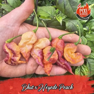 Bhut x Neyede PEach