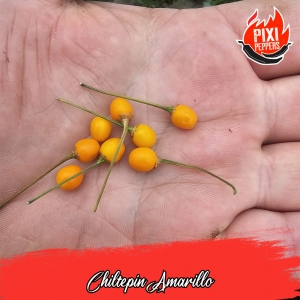 Chiltepin Amarillo