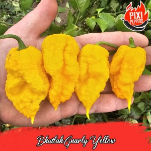 Bhutlah Gnarly Yellow