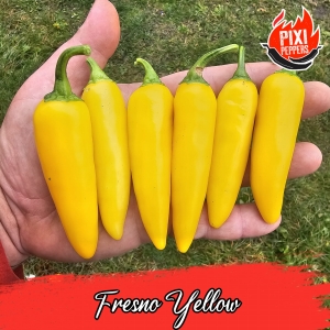 Fresno Yellow
