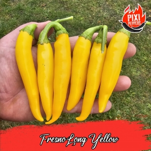 Fresno Yellow Long
