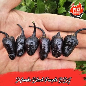 Mamba Black Purple BBG