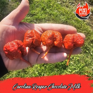 Carolina Reaper Chocolate Milk