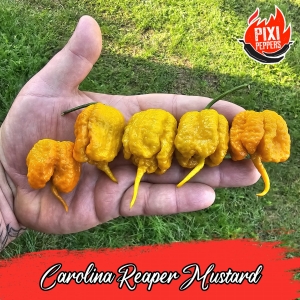 Carolina Reaper Mustard 
