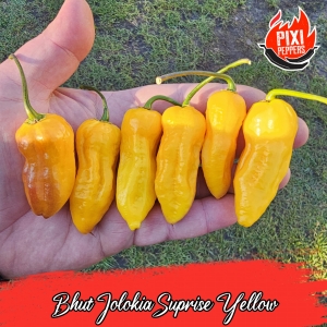 Bhut Jolokia Suprise Yellow
