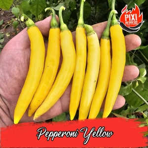 Pepperoni Yellow