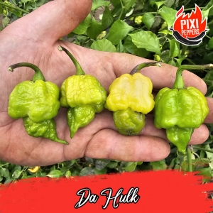 Da Hulk