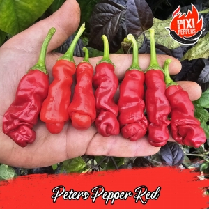 Peters Pepper Red