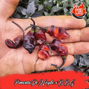 Pimenta De Neyde x B.B.G.