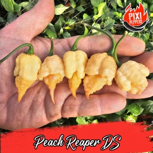 Peach Reaper DS