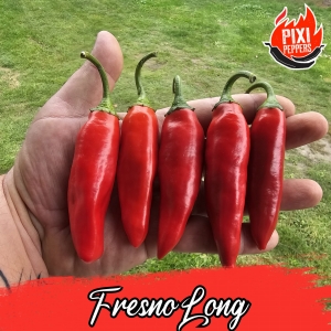 Fresno Long