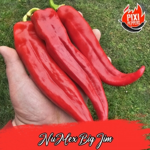 NuMex Big Jim