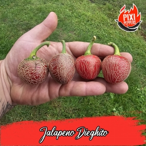 Jalapeno Dieghito