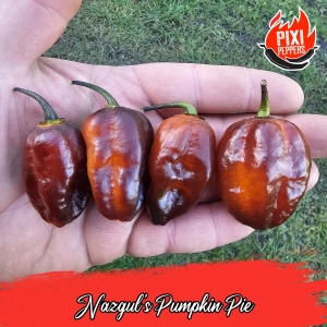 Nazgul's Pumpkin Pie