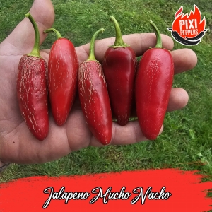 Jalapeno Mucho Nacho