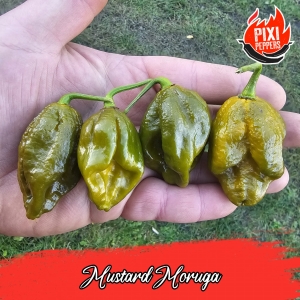 Mustard Moruga