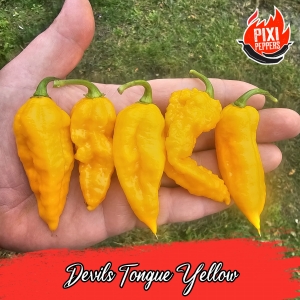 Devils Tongue Yellow
