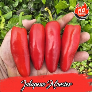 Jalapeno Monster