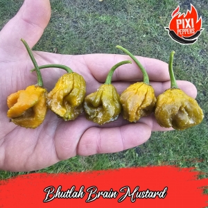 Bhutlah Brain Mustard - "Pepper X"