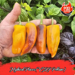 Mythical Places (VSRP Poblano)