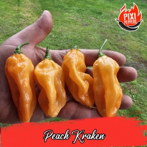 Peach Kraken