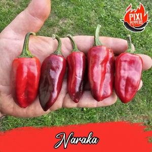 Naraka (VSRP Poblano)