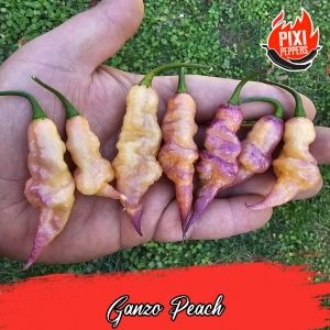 Ganzo Peach