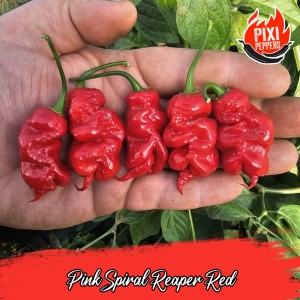 Pink Spiral Reaper Red